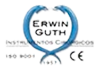 Erwin Guth